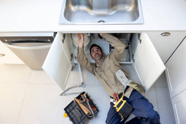 Best Residential Plumbing Services  in Dyer, IN